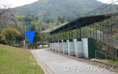 西ノ島のマンホールカード