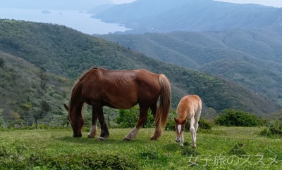 隠岐摩天楼